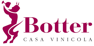 Avvolto Zinfandel - 2024